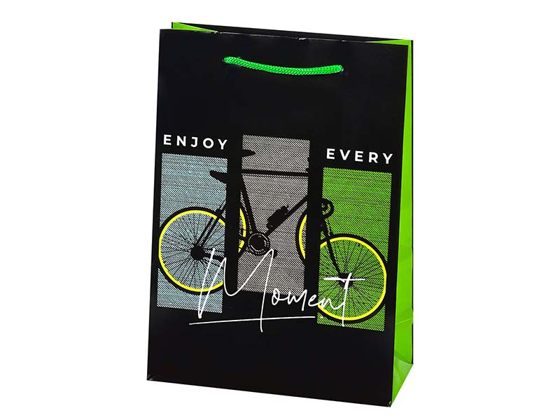 Пакет подар. глянц. лам. Велосипед 22x31 см. ПКП-9161