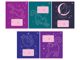 Тетрадь 12л КЛЕТКА BG "На луне" с блестками доставка оптом в Донецк