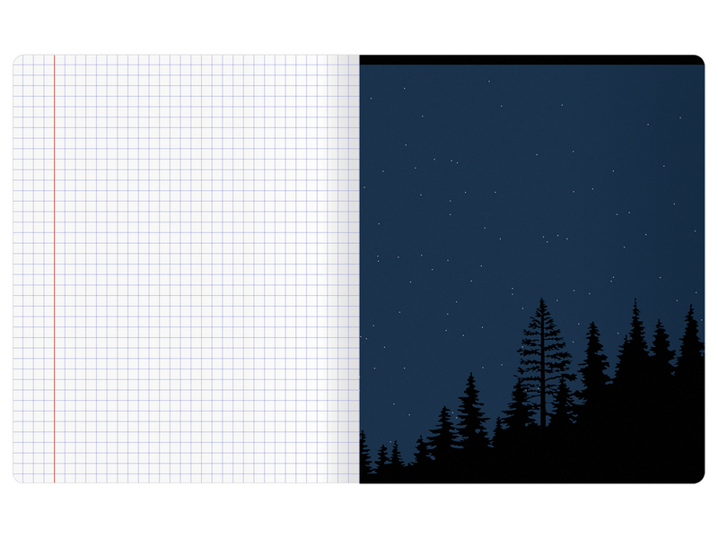 Донецк игрушка оптом Тетрадь 48л КЛЕТКА BG "Сталь" (мат. лам.)