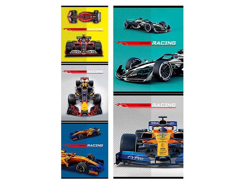 Тетрадь 40 л. Королевская гонка, клетка, обл. мел. карт. 40-2951