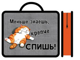 Папка А4 "Спящий котик" 33х26 см, пласт., молния, ручки