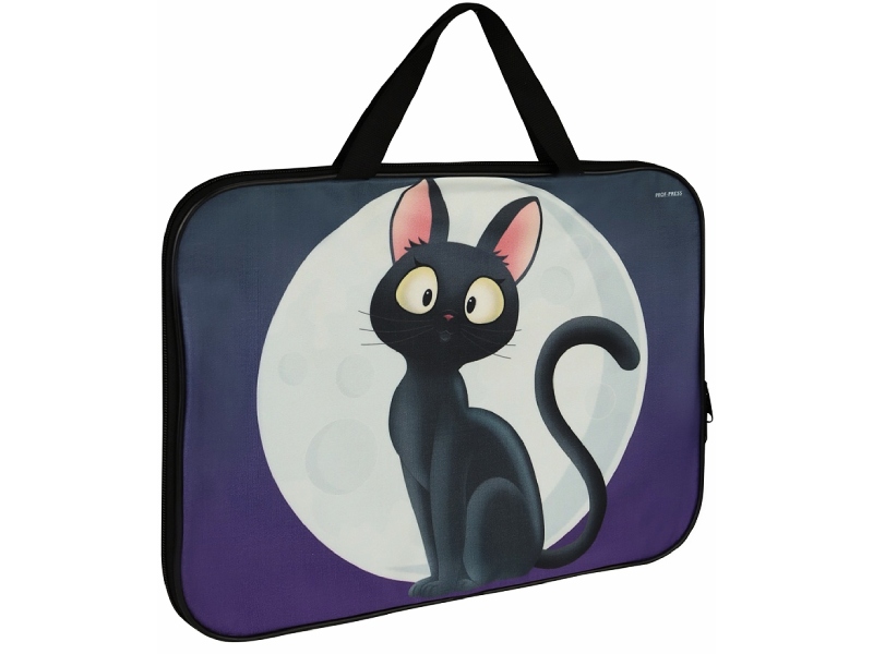 Папка А4 "Кот и луна" 27.5х34.5 см, молния, ручки. П-5224