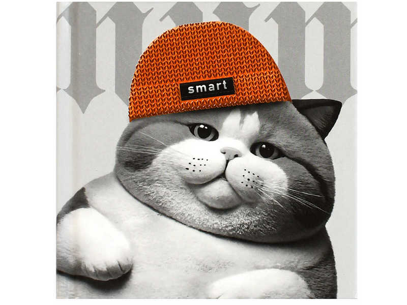 Донецк игрушка оптом Блокнот 105*105 мм 48 л клетка «КОТ В ШАПОЧКЕ» (7БЦ, офсет)