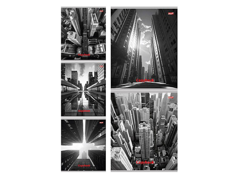 Тетрадь 48 л. Черно-белый мегаполис, клетка, скр. 48-7198