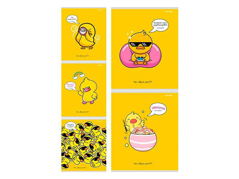 Тетрадь 48 л. Креативный утенок, клетка, скр. 48-3238