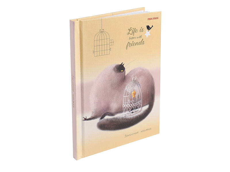 Записная книжка А6 64 л. Кошка и канарейка, 7БЦ, глянц. лам. 64-6545