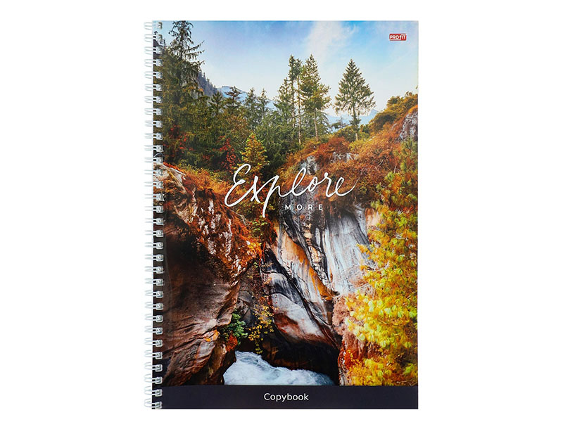 Тетрадь А4 80 л. Живописные ущелья, клетка, гребень. 80-2125