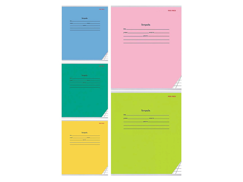 Тетрадь 12 л. Классика, доп. косая линия. 12-0299