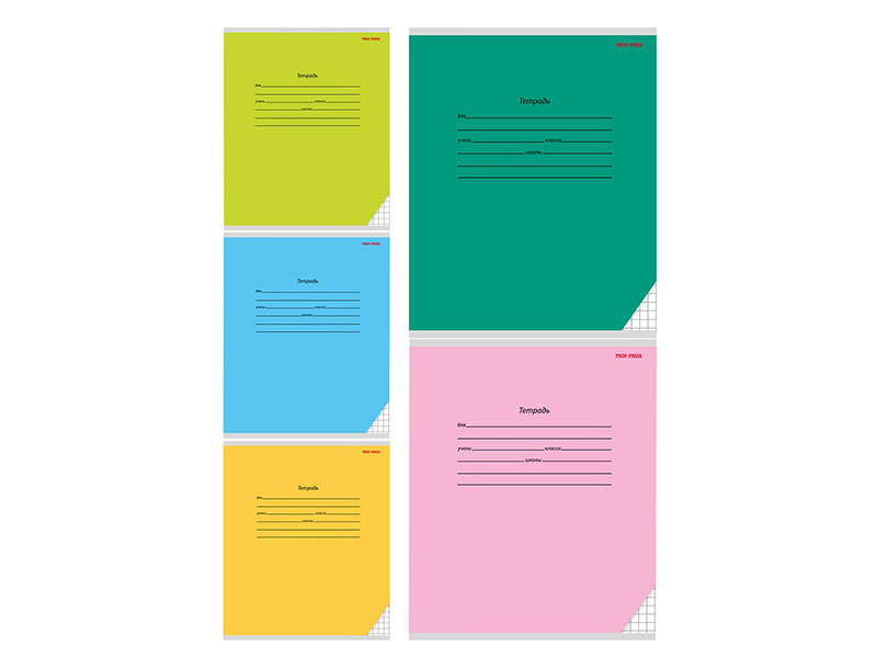 Тетрадь 18 л. Классика, клетка, цв. мел. обл. 18011-18015