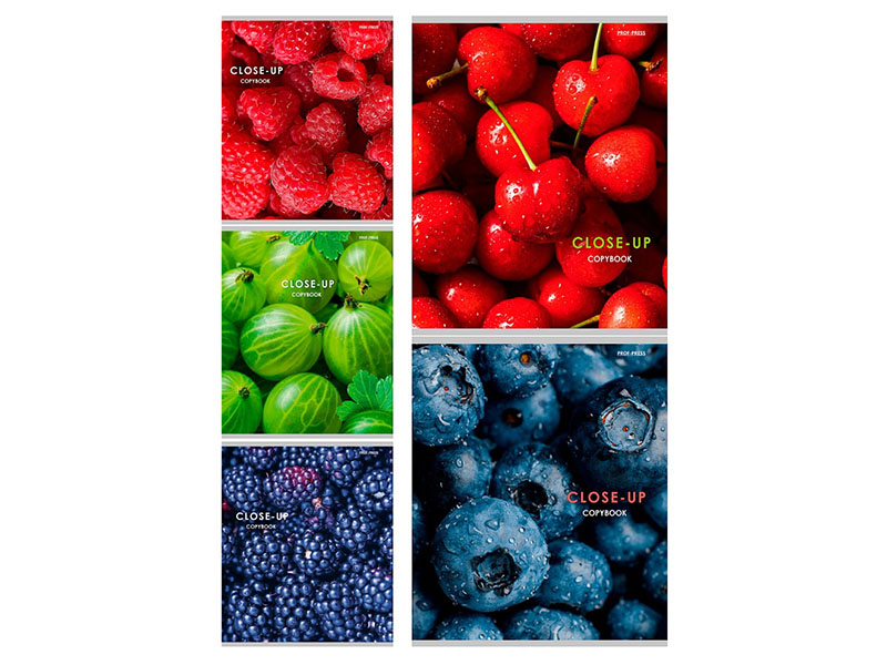 Тетрадь 48 л. Ягодные фото, клетка. 48-3994