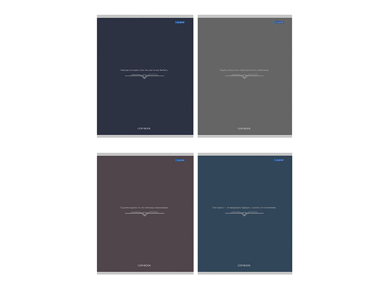 Тетрадь 96 л. Минимализм и фразы, клетка. 96-4172