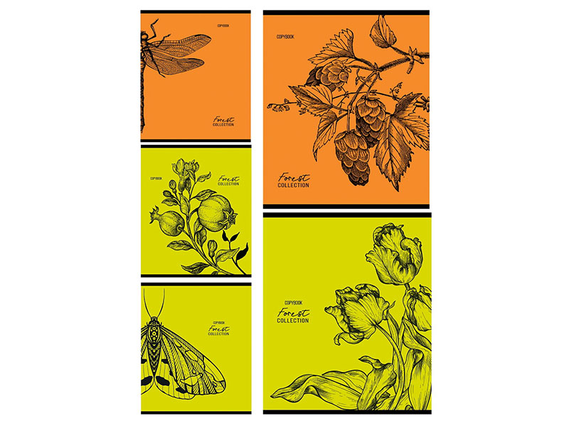 Тетрадь 96 л. Зарисовки природы, клетка. 96-9991