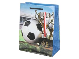 Пакет подар. глянц. лам. Футбол 18*23 см. PM-131196-FB