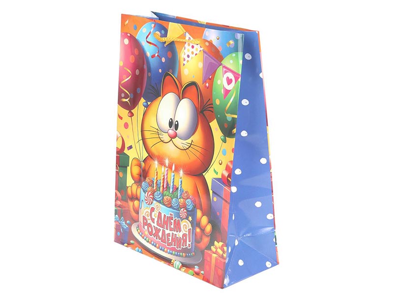 Пакет подар. глянц. лам. Рыжий котик 22*31 см. PML-130532-GF