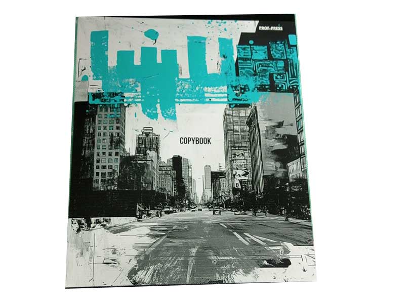 Тетрадь 96 л. Тема граффити, клетка. 96-4324