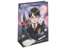 Пакет подар. мат. лам. Школа волшебства 22*31 см. PML-130217-HP
