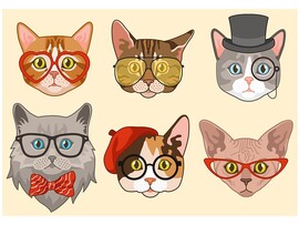 Холст с красками 30х40 см по номерам. Забавные коты в очках доставка оптом в Донецк