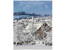 Картина на картоне с красками 40х50 см по номерам. Деревня зимой доставка оптом в Донецк