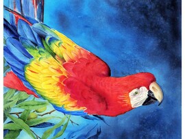 Холст с красками 17х22 см по номерам. Сине-желтый ара доставка оптом в Донецк