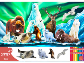 Сортер деревянный «Север» 15 деталей доставка оптом в Донецк