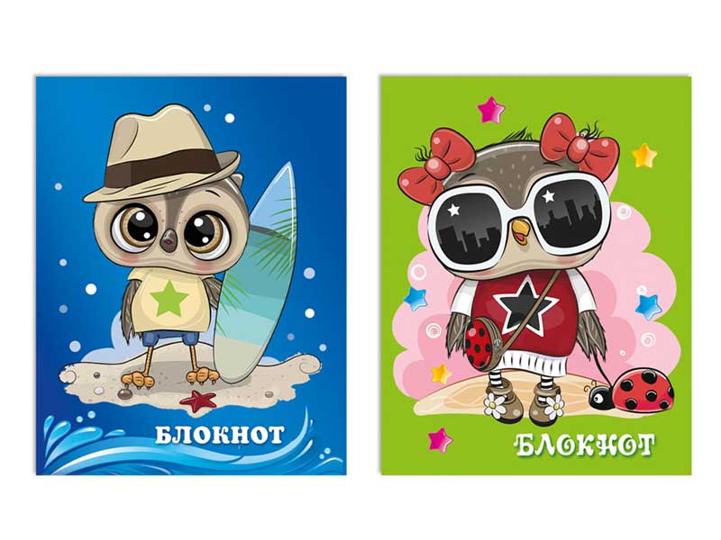 Блокнот А7 16 л. Сова, клетка. Бс16/41