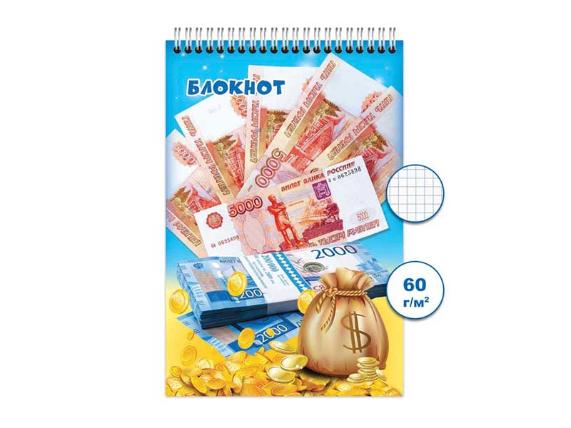 Блокнот А6 48 л. Деньги, клетка, спираль. Бг48/5-1