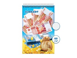 Блокнот А6 48 л. Деньги, клетка, спираль. Бг48/5-1
