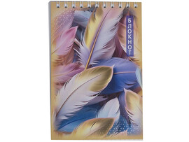 Блокнот А6 48 л. Перо, клетка, спираль. Бг48/79-2