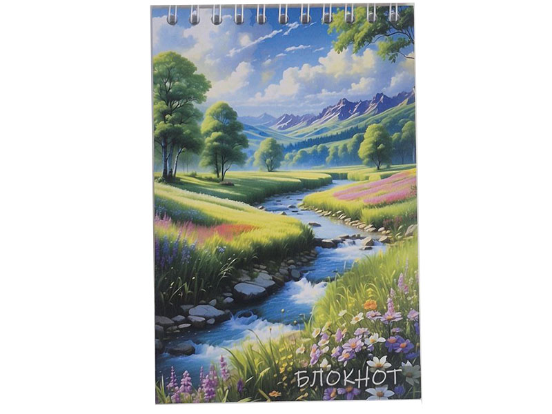 Блокнот А6 48 л. Природа, клетка, спираль. Бг48/19-3