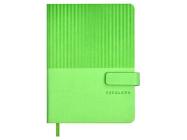 Ежедневник недат.  А6+ 120 л., Виннер салатовый, кожзам, магнит. застежка. 67270