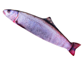 Мягкая игрушка-антистресс «Рыба» 145 см 10102 доставка оптом в Донецк