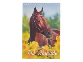 Календарь настенный "2026 Лошадь" 17*25 см на спирали