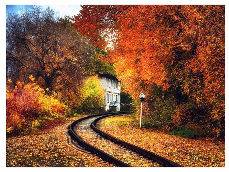 Пазл фигурный дерев. "Осень" 110 дет., 20.2х28.8 см. MPZCF11-M