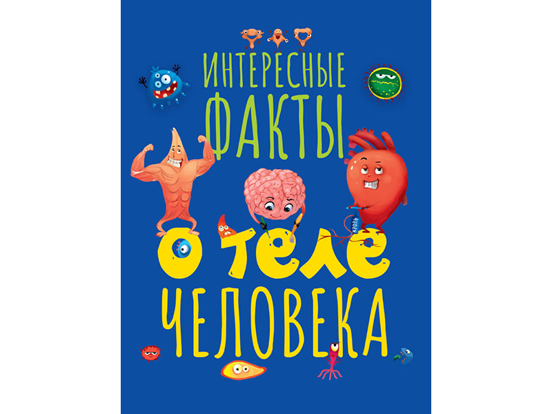 Донецк игрушка оптом Интересные факты о теле человека