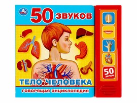Тело человека (5 кнопок, 50 звуков) доставка оптом в Донецк