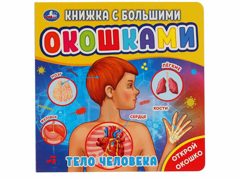 Донецк игрушка оптом Книжка с большими окошками. Тело человека