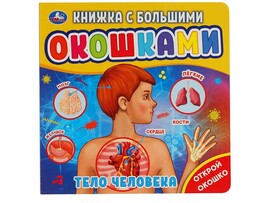 Книжка с большими окошками. Тело человека доставка оптом в Донецк