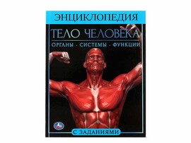 Энциклопедия А4. Тело человека (с заданиями) доставка оптом в Донецк