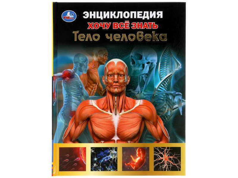 Донецк игрушка оптом Энциклопедия А5. Хочу все знать Тело человека.