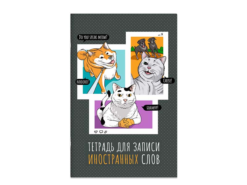 Донецк игрушка оптом Тетрадь для записи иностранных слов А6 32 л "Комикс"