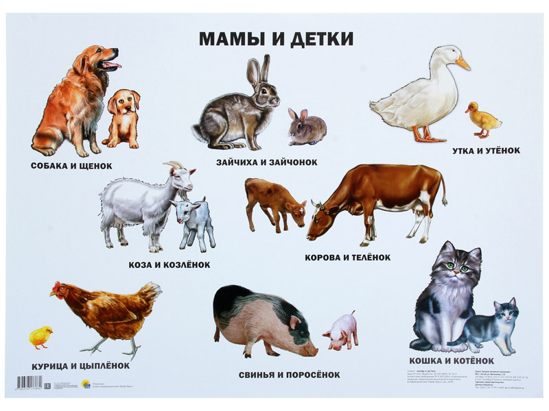 Донецк игрушка оптом ПЛАКАТ. МАМЫ И ДЕТКИ